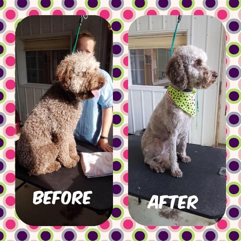 Dally's Dog Grooming