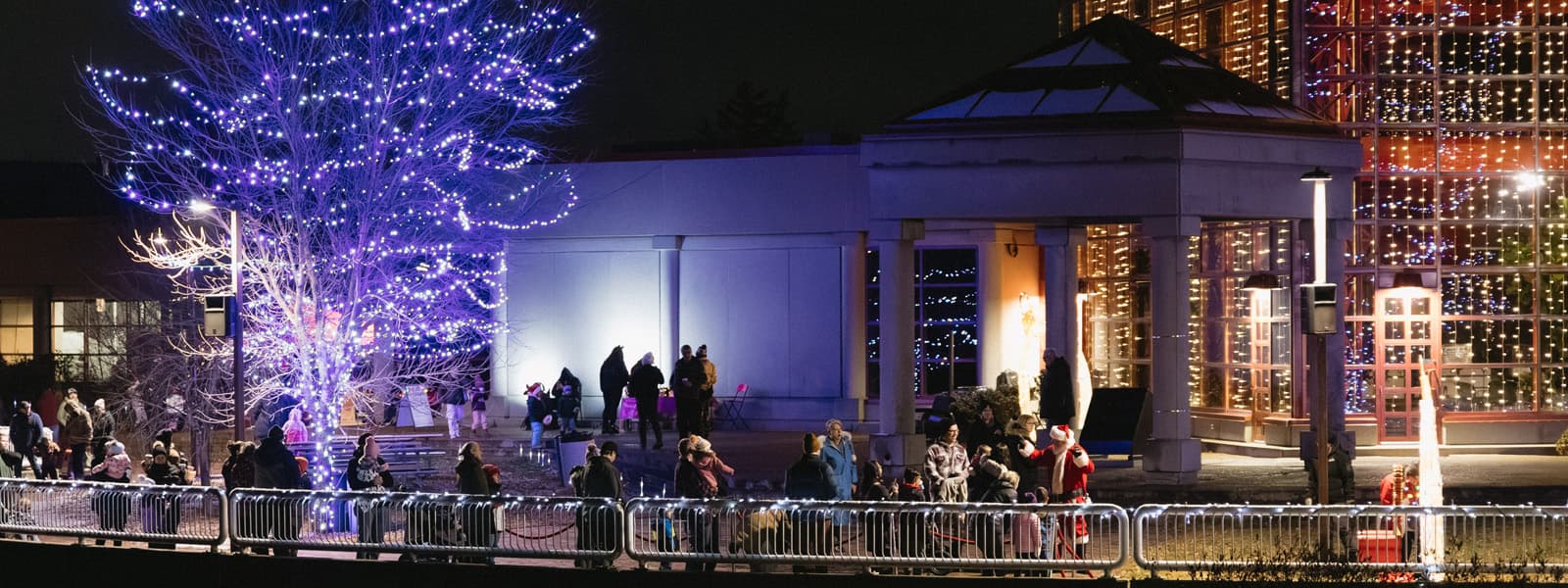 Light Up the Park